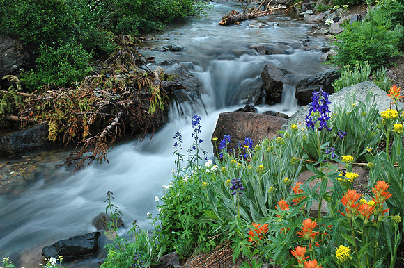 Mountain Stream