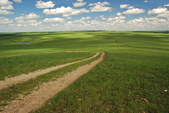 Kansas Prairie