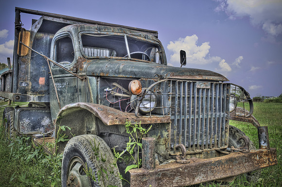 Out to Pasture